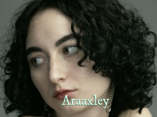 araaxley Top Blog X