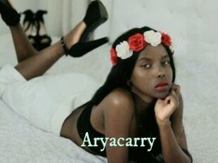 aryacarry Top Blog X