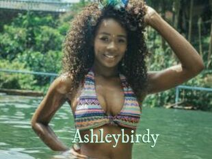 Ashleybirdy