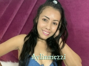 Aylinmezzi