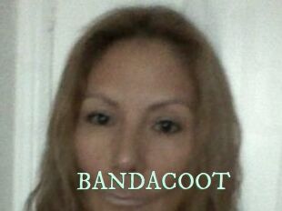 BANDACOOT