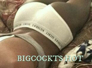 BIGCOCKTS_HOT