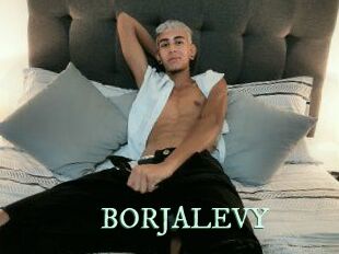 BORJALEVY