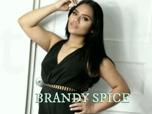 BRANDY_SPICE