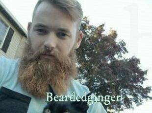 Beardedginger