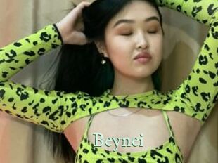 Beynei Top Blog X