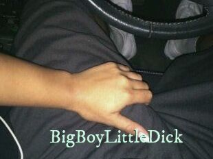 BigBoyLittleDick