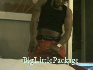 BigLittlePackage