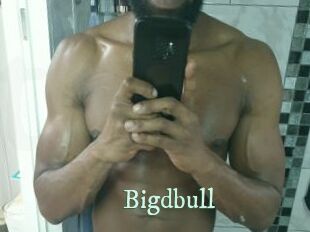 Bigdbull