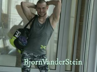 BjornVanderStein