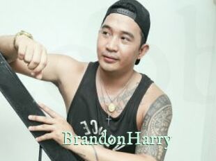 BrandonHarry