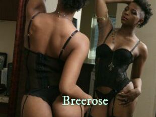 Breerose