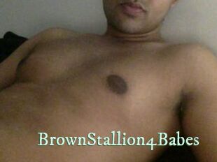 BrownStallion4Babes