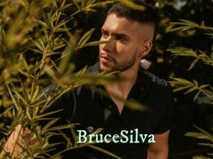 BruceSilva