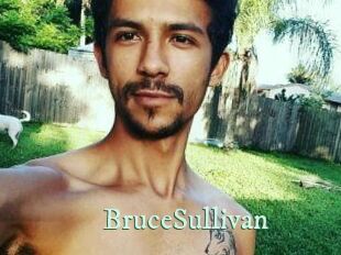 Bruce_Sullivan