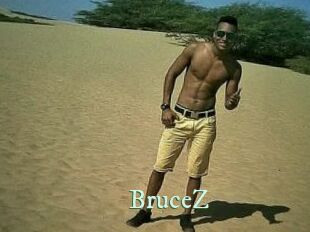 BruceZ