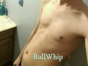 BullWhip
