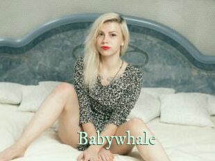 Babywhale