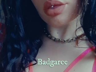 Badgarce