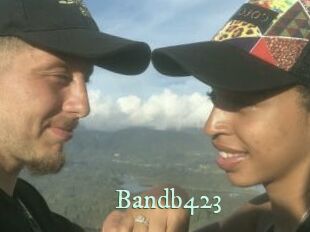 Bandb423