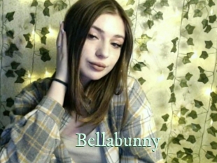 Bellabunny