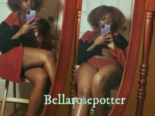 Bellarosepotter