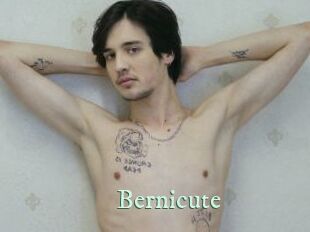 Bernicute