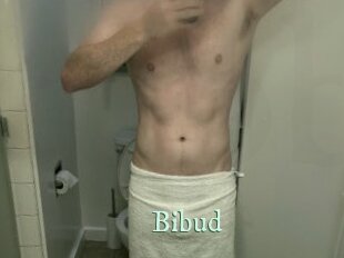 Bibud