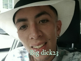 Big_dick23