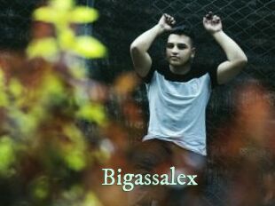 Bigassalex