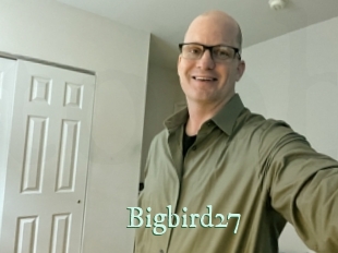 Bigbird27