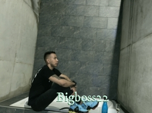 Bigboss22