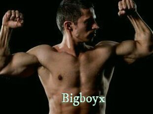 Bigboyx