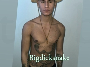 Bigdicksnake