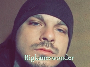 Bigkaneswonder