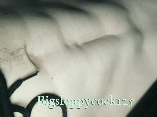 Bigsloppycock125