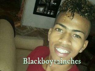 Blackboy12inches