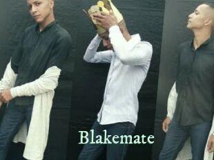 Blakemate