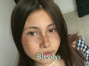 Bleydys