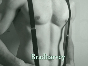 Bradharvey