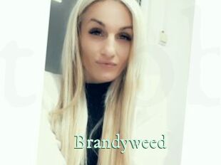 Brandyweed