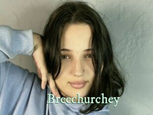 breechurchey Top Blog X