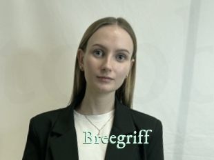 Breegriff