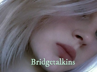Bridgetalkins