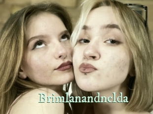 Brimlanandnelda