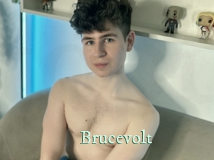 Brucevolt