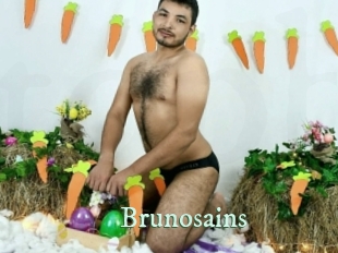 Brunosains