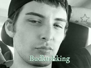 Budkushking