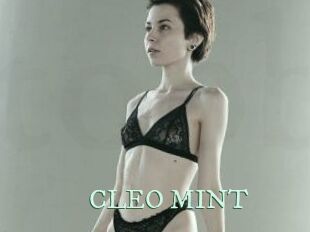 CLEO_MINT