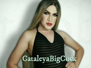 CataleyaBigCock